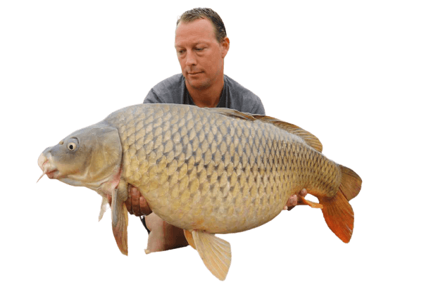 57 lbs river ebro common carp