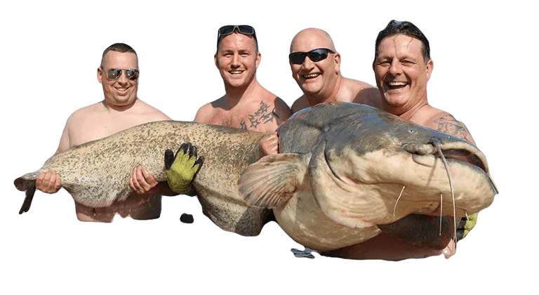 183lbs river ebro wels catfish